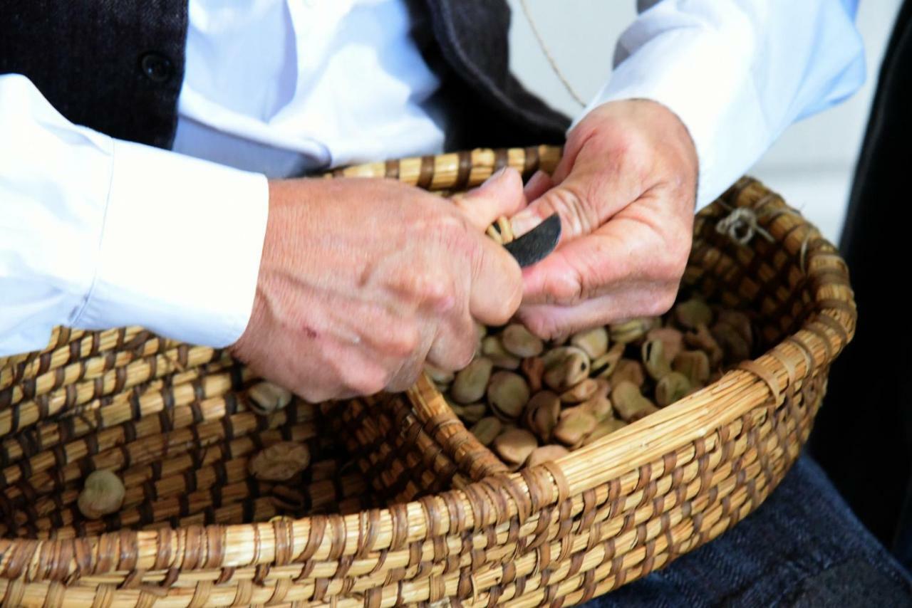 شقة Trulli Occhi Di Pietra ألبيروبيللو المظهر الخارجي الصورة